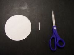 Step 1. a round paper filter disk, paper towel wick, and scissors were gathered.